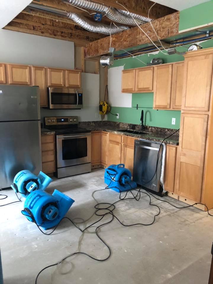 Ceiling tiles removed during mold removal procedure