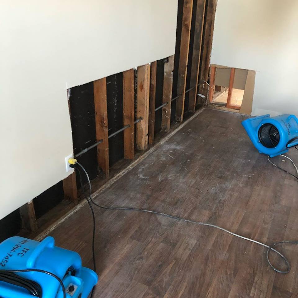 Base boards removed during mold removal procedure