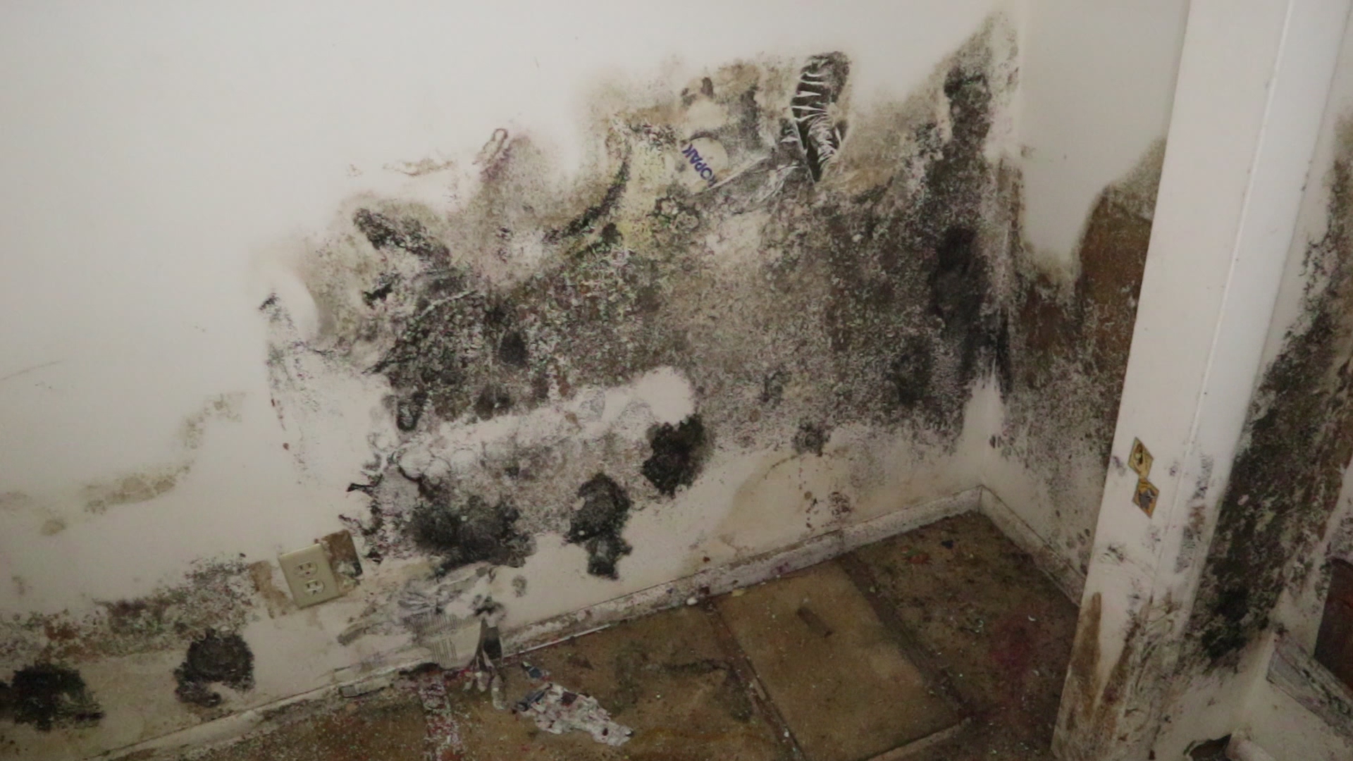 House interior wall in need of mold removal